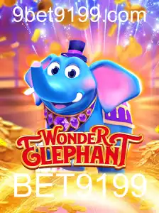 Descubra o Fascinante Mundo de WonderElephant: Regras e Inovações do Jogo